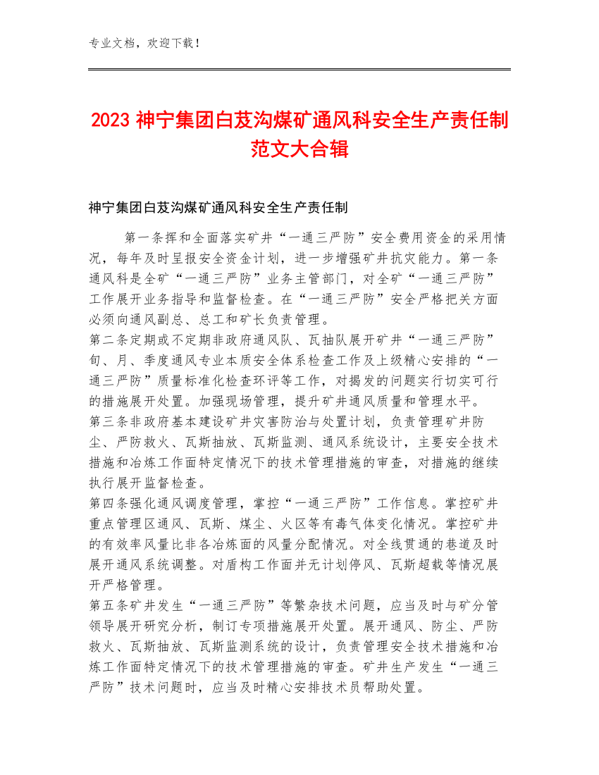 2023神宁集团白芨沟煤矿通风科安全生产责任制范文大合辑