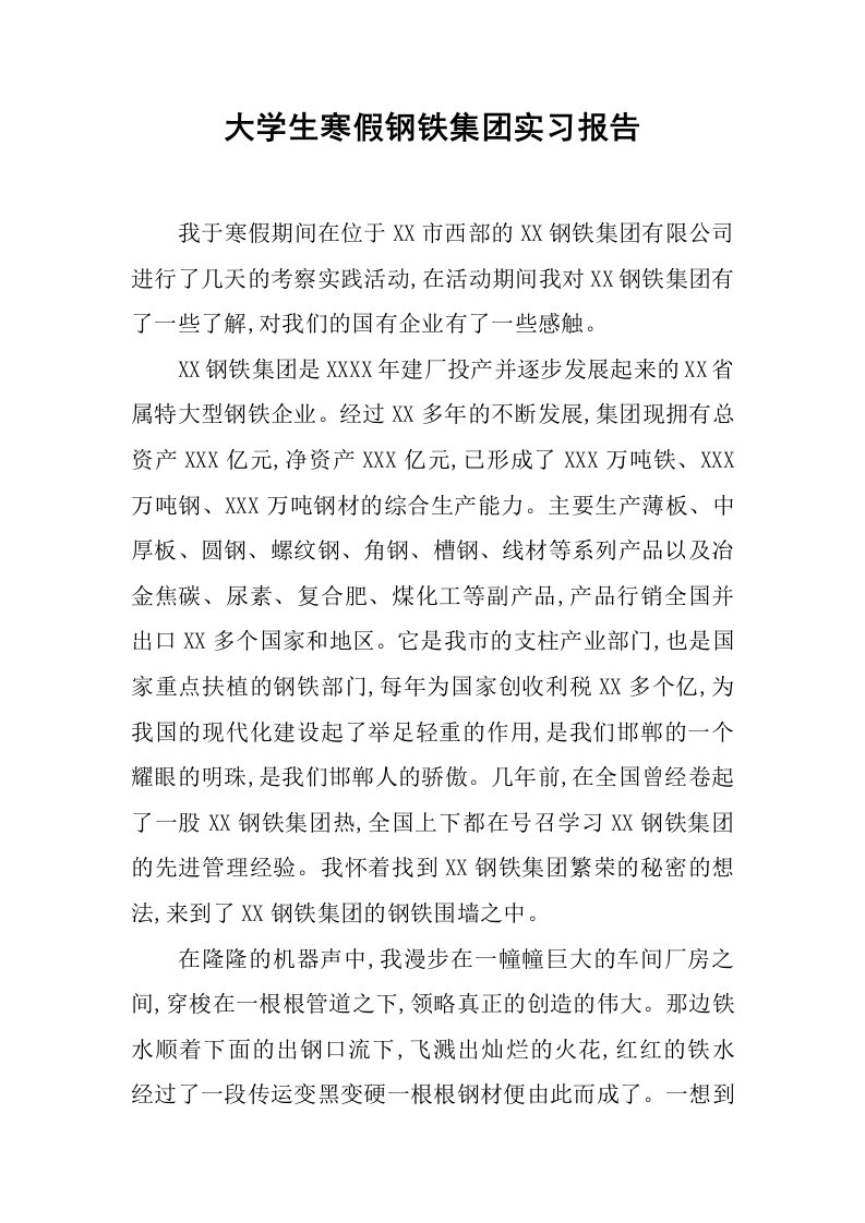 大学生寒假钢铁集团实习报告_1[范本]