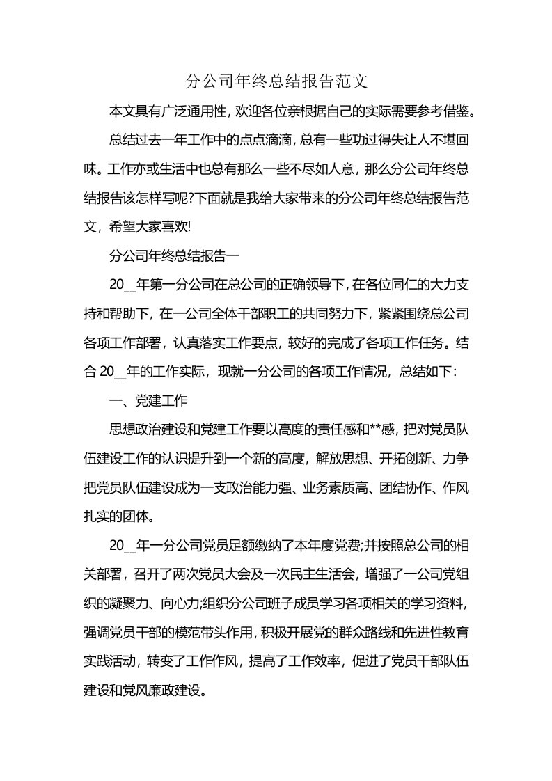 分公司年终总结报告范文