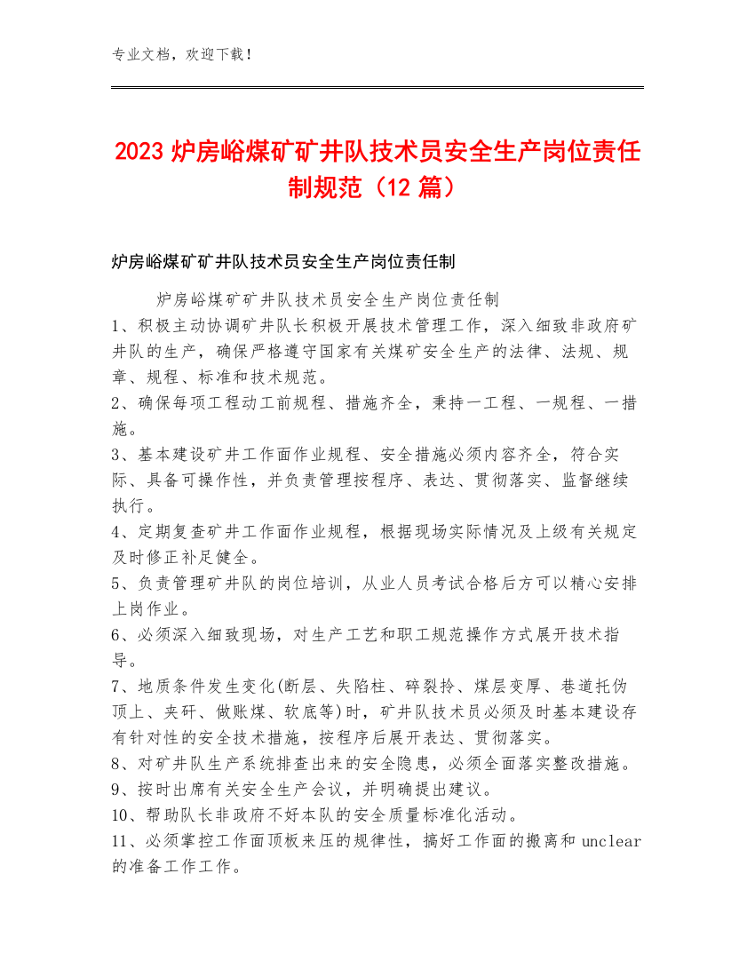 2023炉房峪煤矿矿井队技术员安全生产岗位责任制规范（12篇）