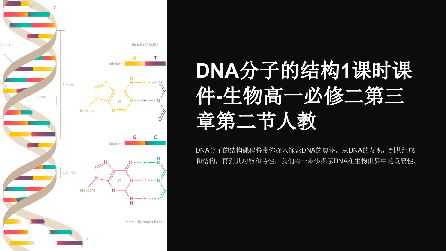 DNA分子的结构1课时课件-生物高一必修二第三章第二节人教