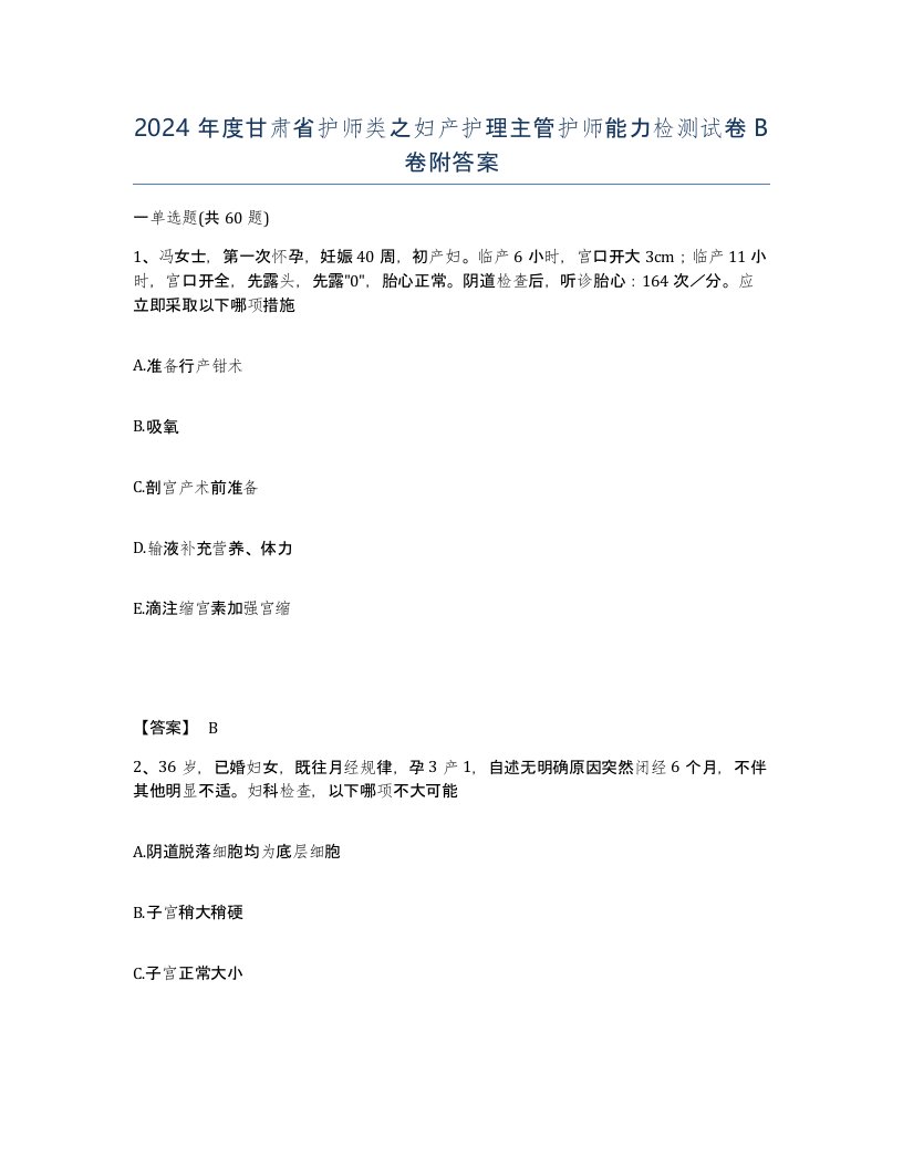 2024年度甘肃省护师类之妇产护理主管护师能力检测试卷B卷附答案