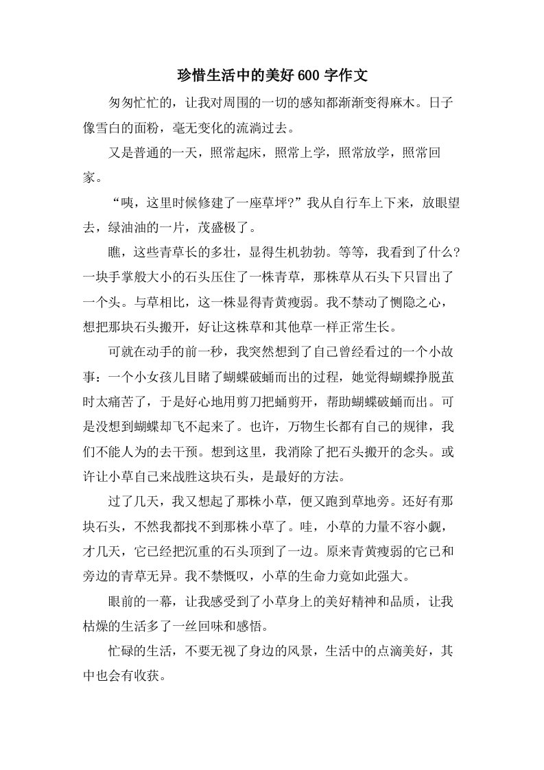 珍惜生活中的美好600字作文