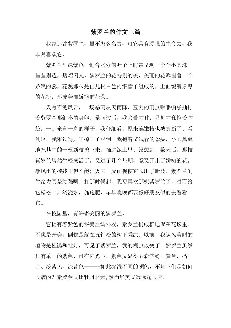 紫罗兰的作文三篇