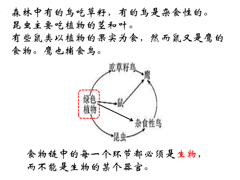 我国的动物资源及保护ppt课件