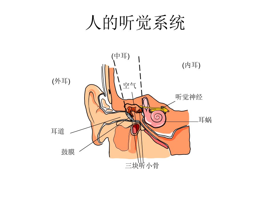 噪音危害及听力防护