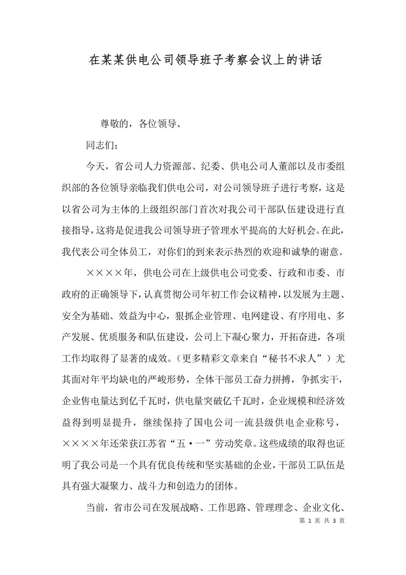 在某某供电公司领导班子考察会议上的讲话