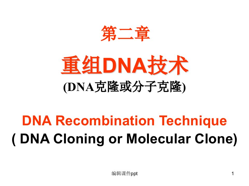 《重组DNA技术》PPT课件