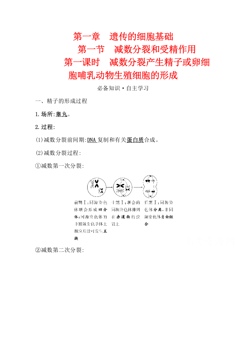 2020-2021学年新教材生物苏教版必修第二册学案：1-1-1减数分裂产生精子或卵细胞哺乳动物生殖细胞的形成