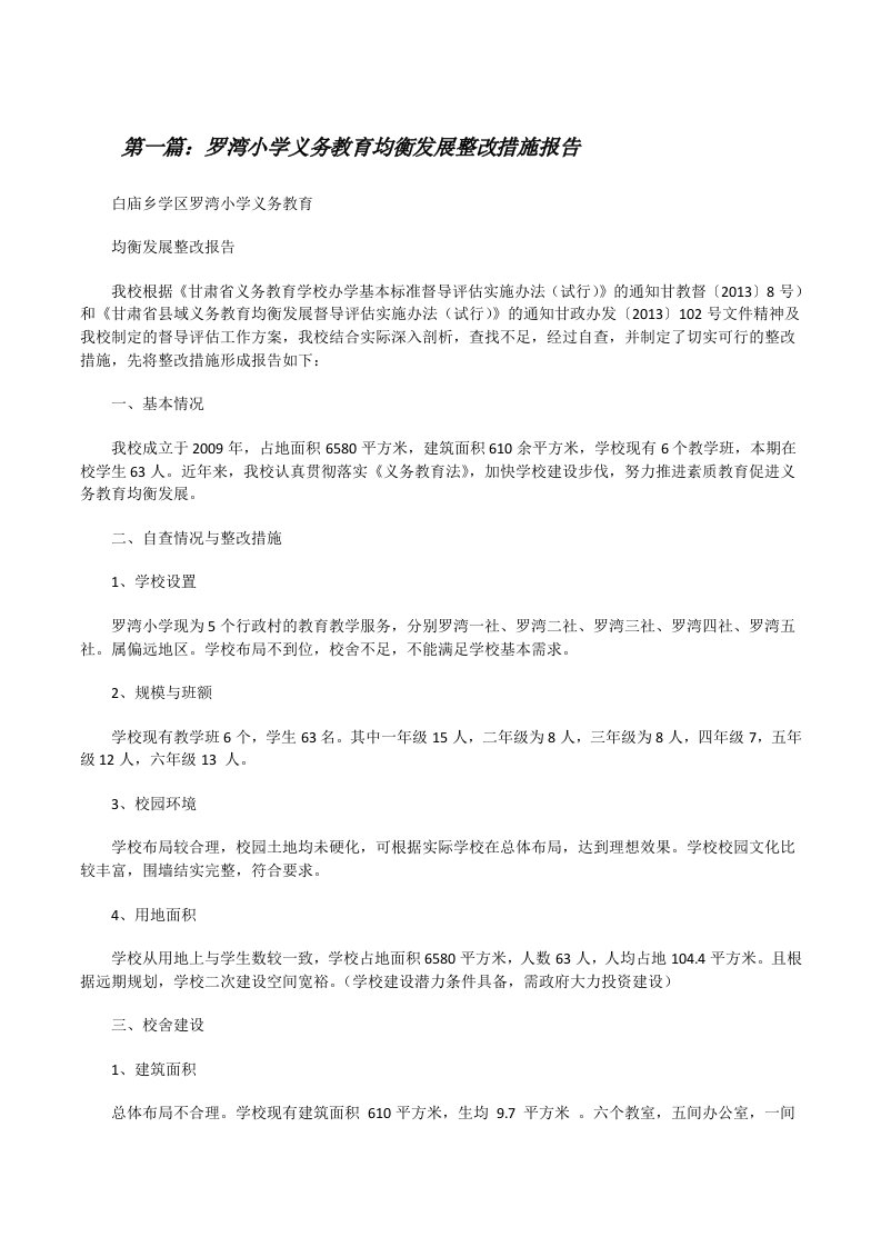 罗湾小学义务教育均衡发展整改措施报告（精选5篇）[修改版]