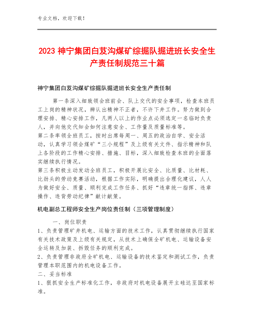 2023神宁集团白芨沟煤矿综掘队掘进班长安全生产责任制规范三十篇