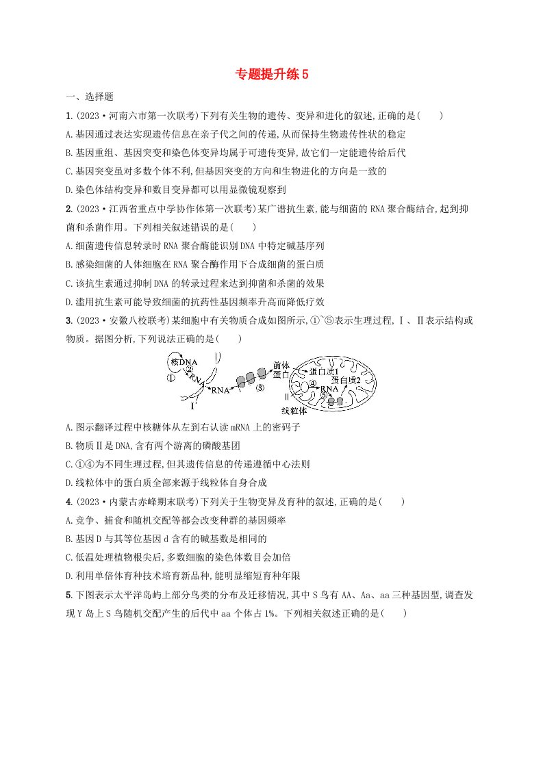 适用于老高考旧教材2024版高考生物二轮复习专题提升练5遗传的分子基础变异与进化