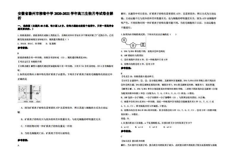 安徽省滁州市柳巷中学2020-2021学年高三生物月考试卷含解析