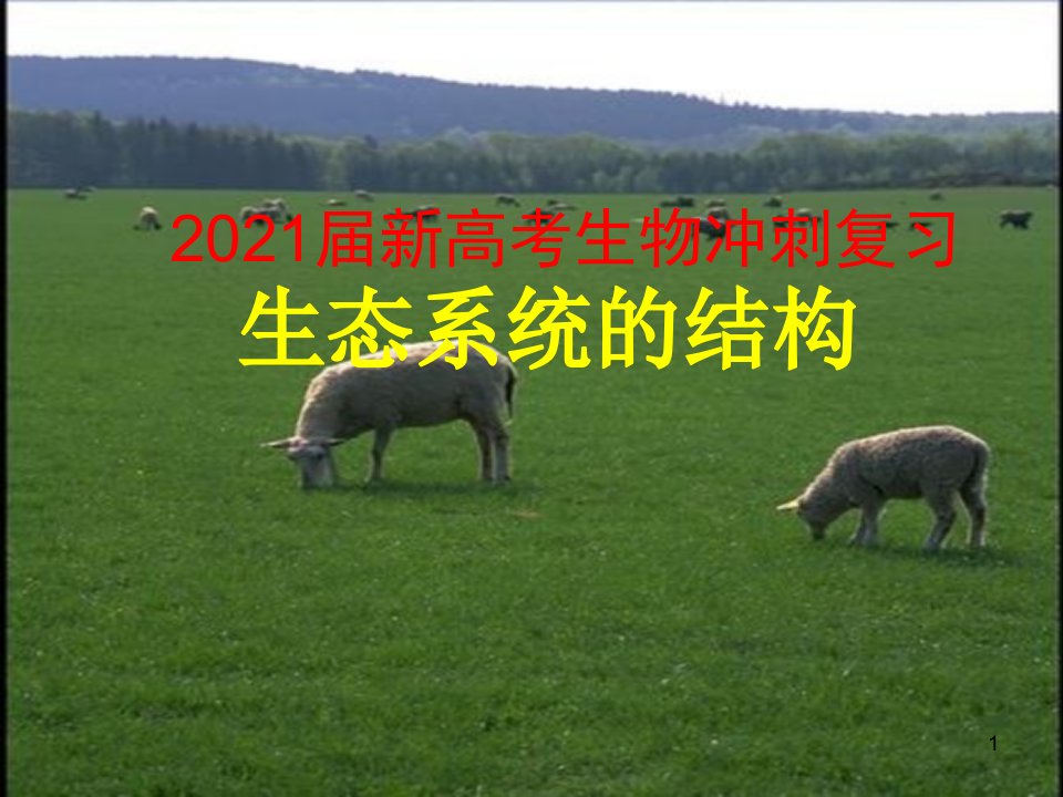 2021届新高考生物冲刺复习生态系统的结构ppt课件