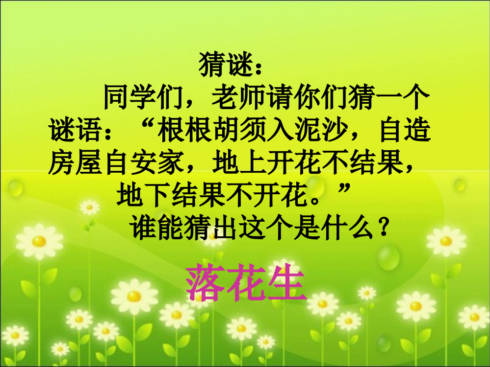 《落花生》教学课件2