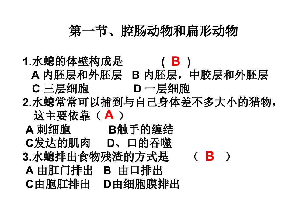 《无脊椎动物复习》PPT课件