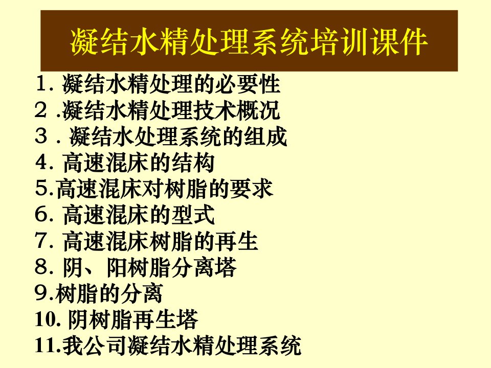 凝结水精处理系统培训课件