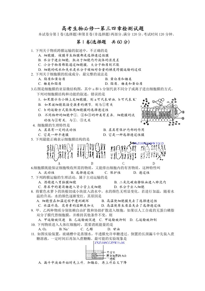 高考生物必修一第三四章检测试题