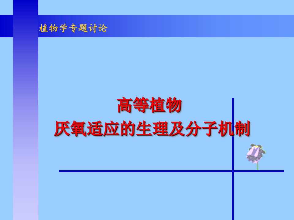 高等植物厌氧适应的生理及分子机制