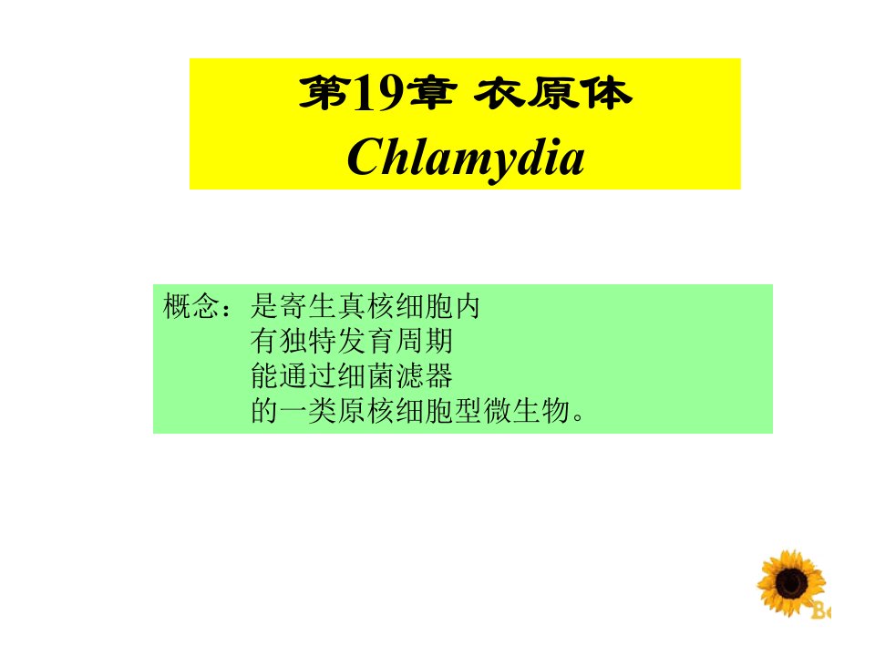 衣原体Chlamydia