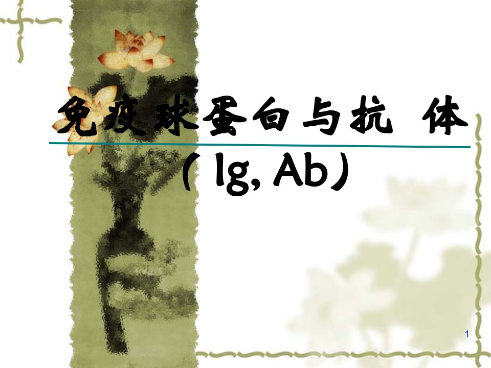 免疫球蛋白与抗体ppt课件