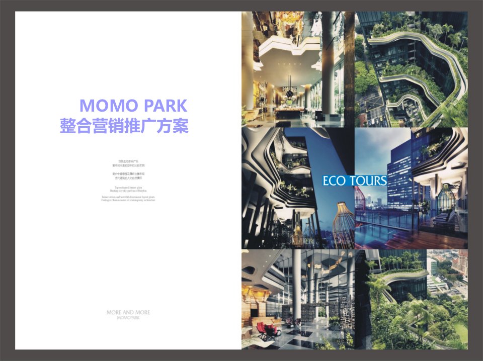 [精选]MOMO整合营销方案—西安佳伟食品有限责任公司