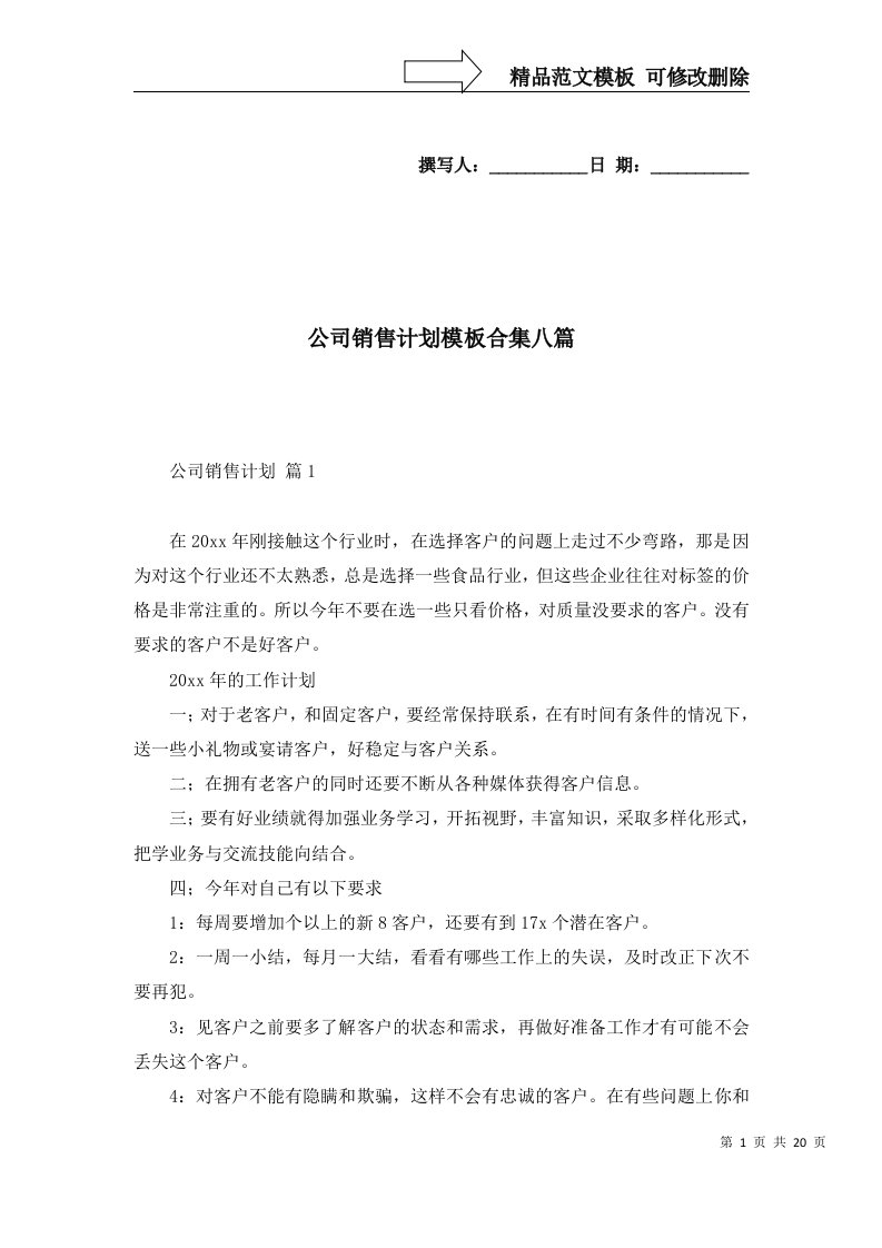 公司销售计划模板合集八篇二