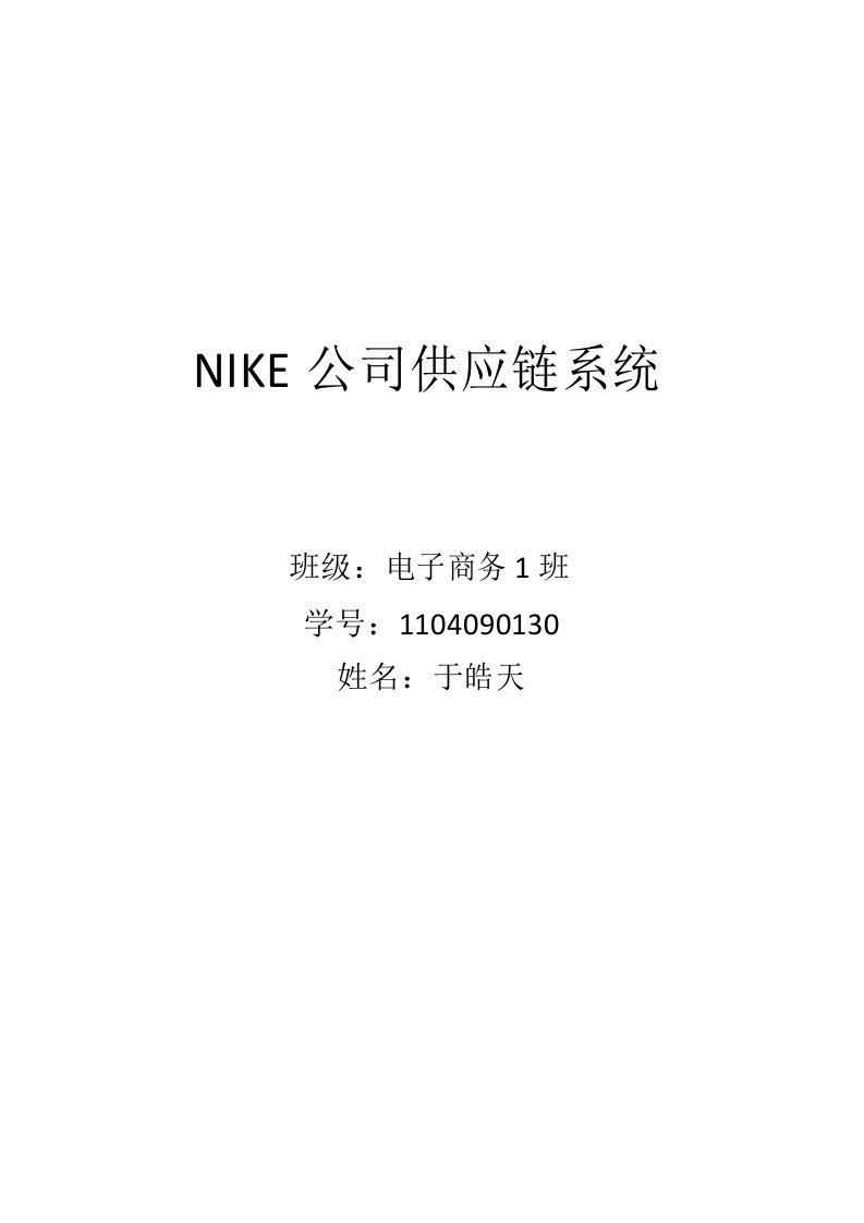 Nike公司供应链系统