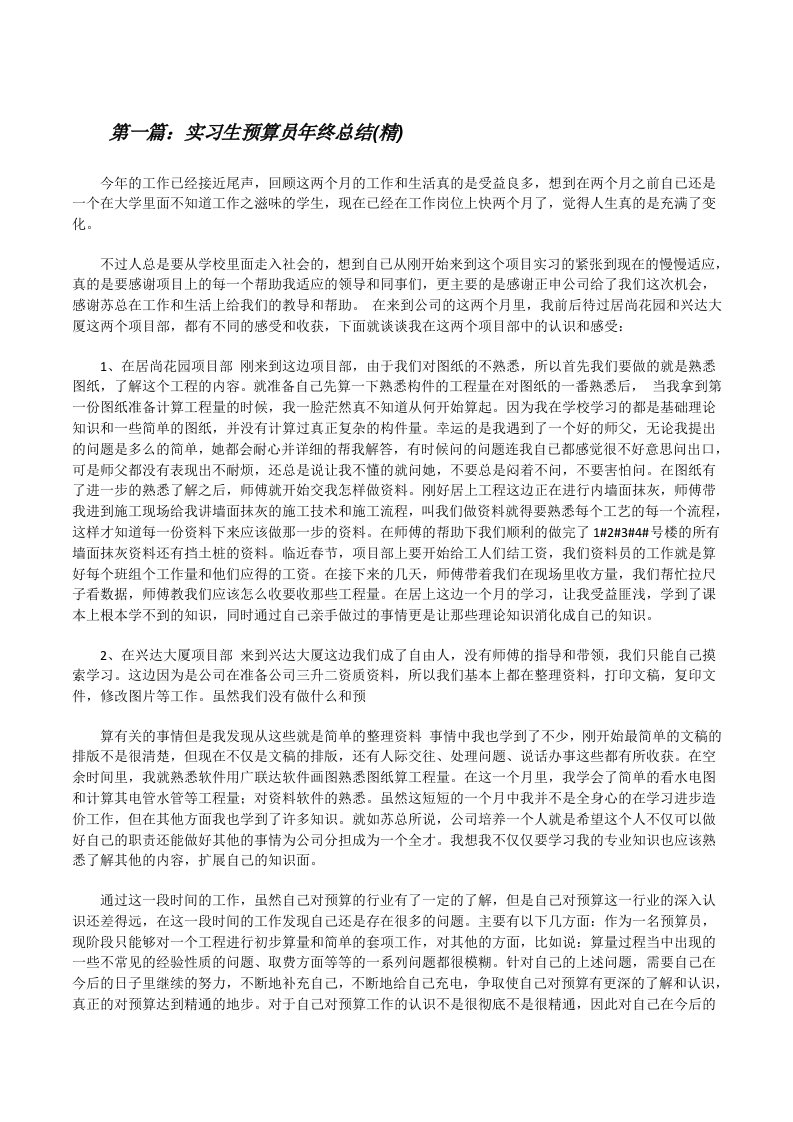 实习生预算员年终总结(精)[修改版]