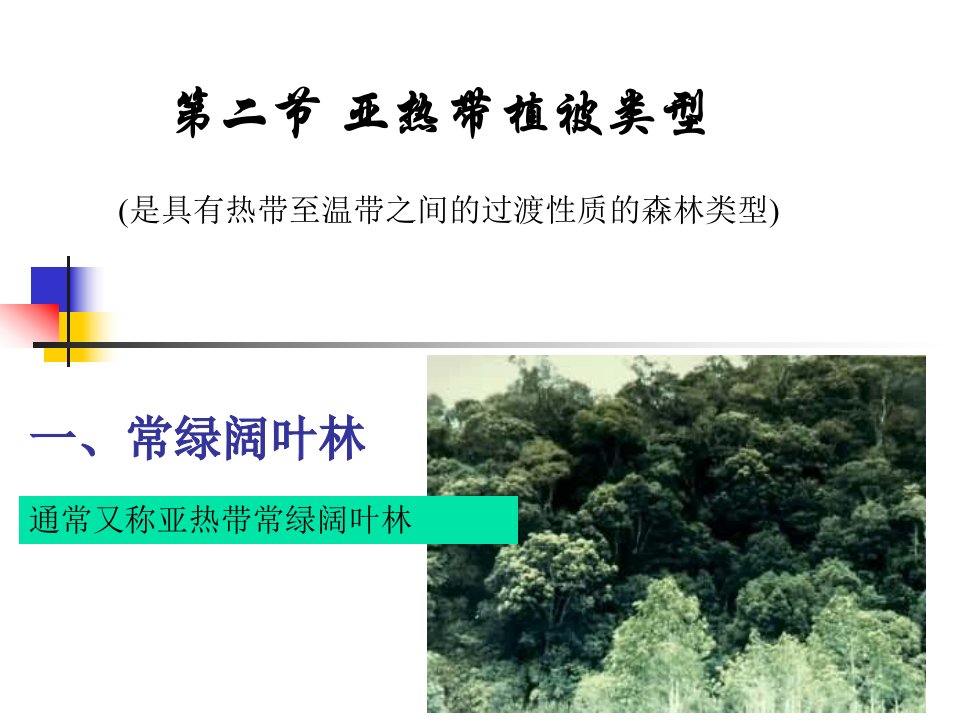 亚热带植被类型