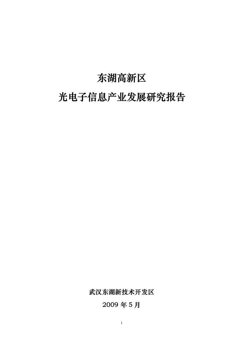 东湖高新区光电子信息产业研究报告(新)