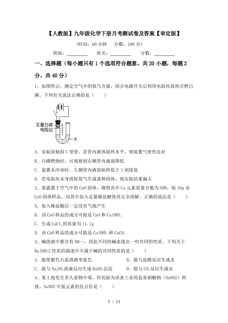 人教版九年级化学下册月考测试卷及答案审定版