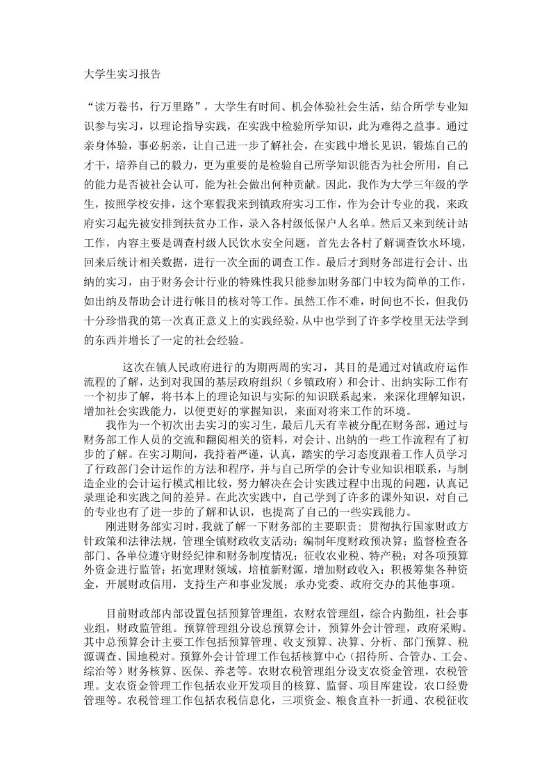 （精）大学生政府会计实习报告