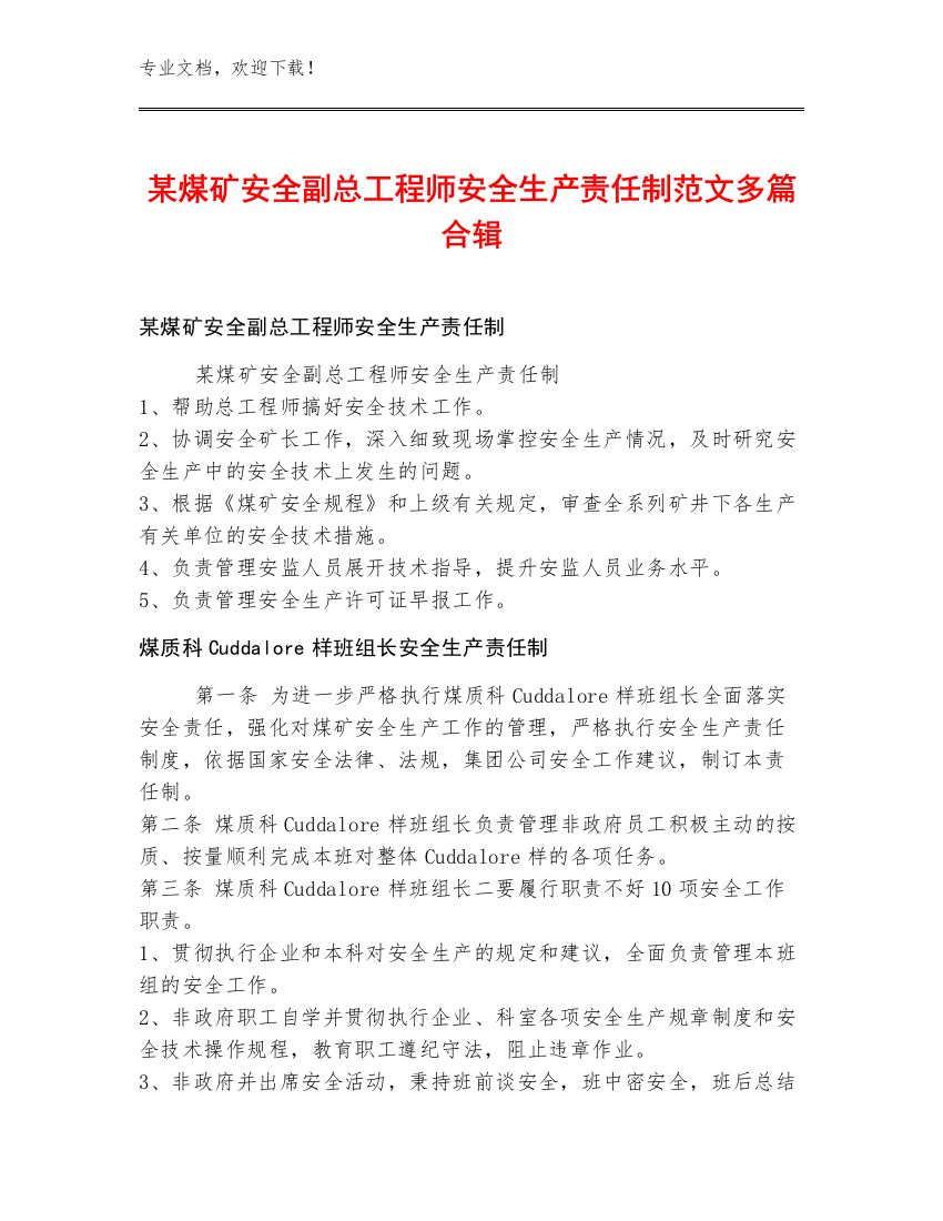 某煤矿安全副总工程师安全生产责任制范文多篇合辑