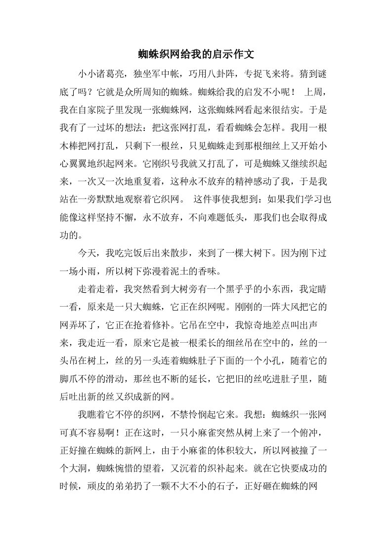 蜘蛛织网给我的启示作文