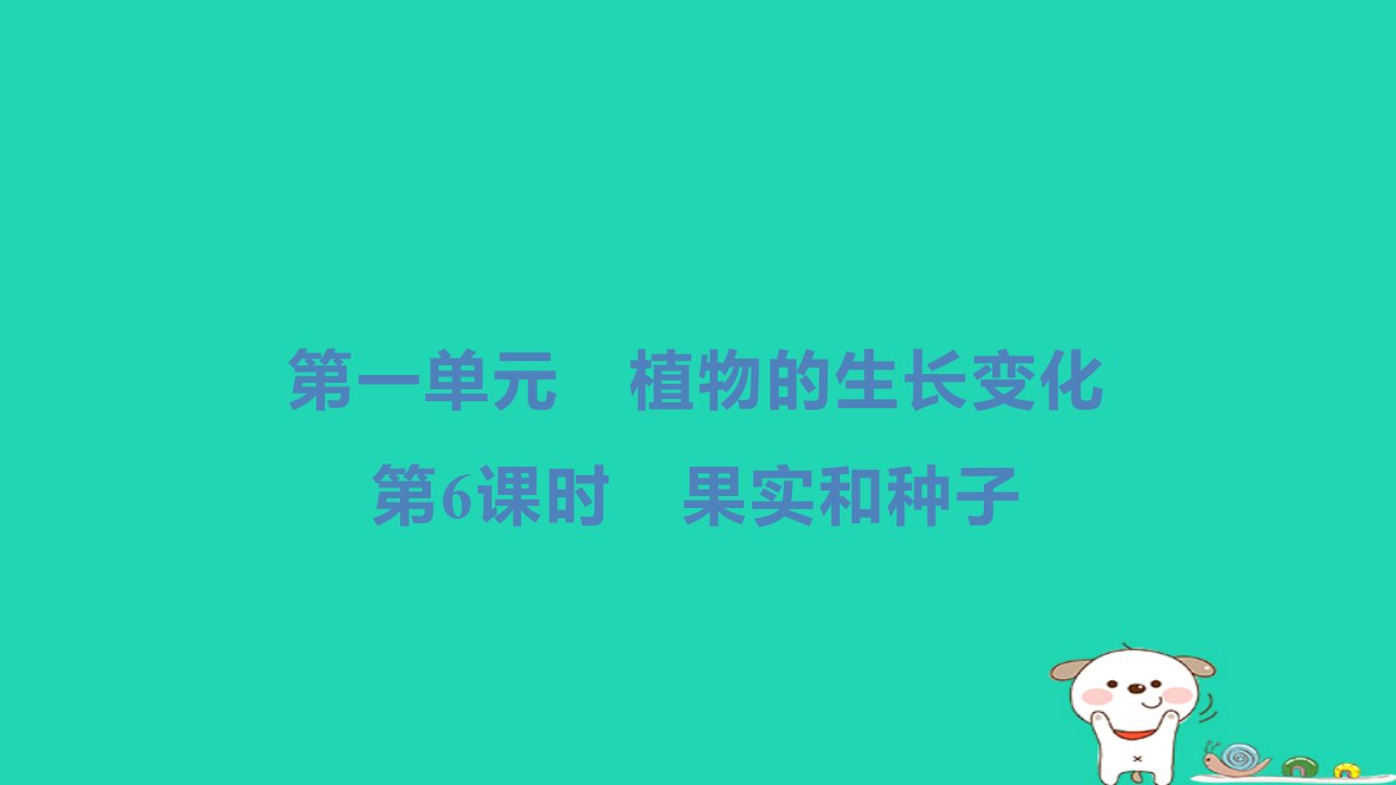 2024四年级科学下册第一单元植物的生长变化第6课时果实和种子习题课件教科版