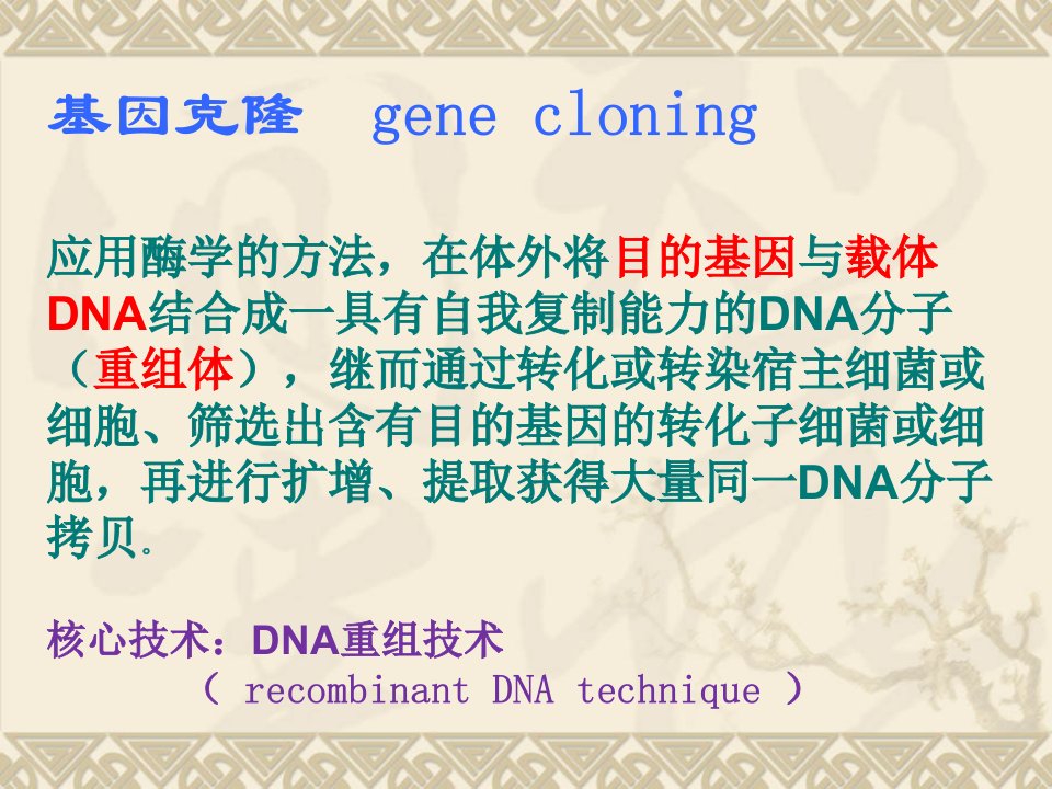 DNA重组质粒的构建概述