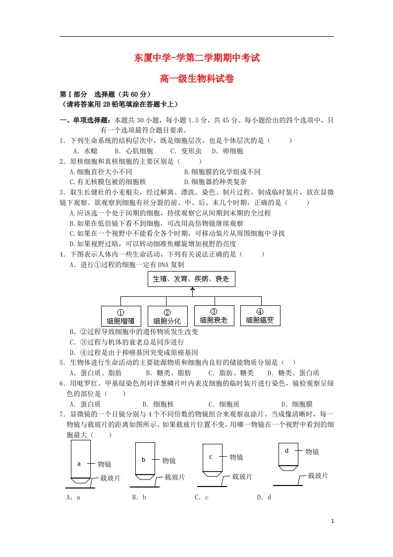 广东省汕头市东厦中学高一生物下学期期中试题新人教版