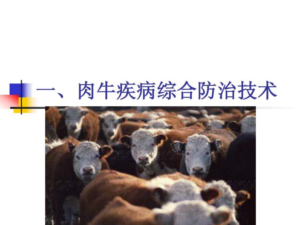 肉牛疾病综合防治技术【PPT-课件】