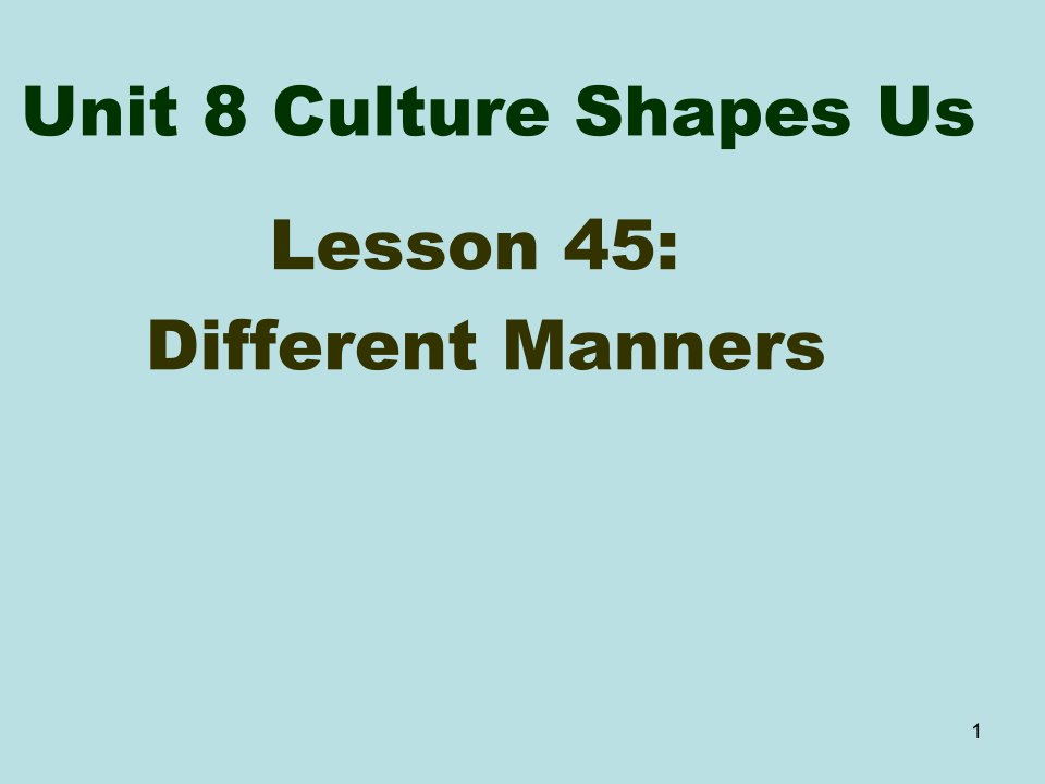 冀教版九年级英语全一册《nit8CultureShapesUsLesson45DifferentManners》优质课ppt课件