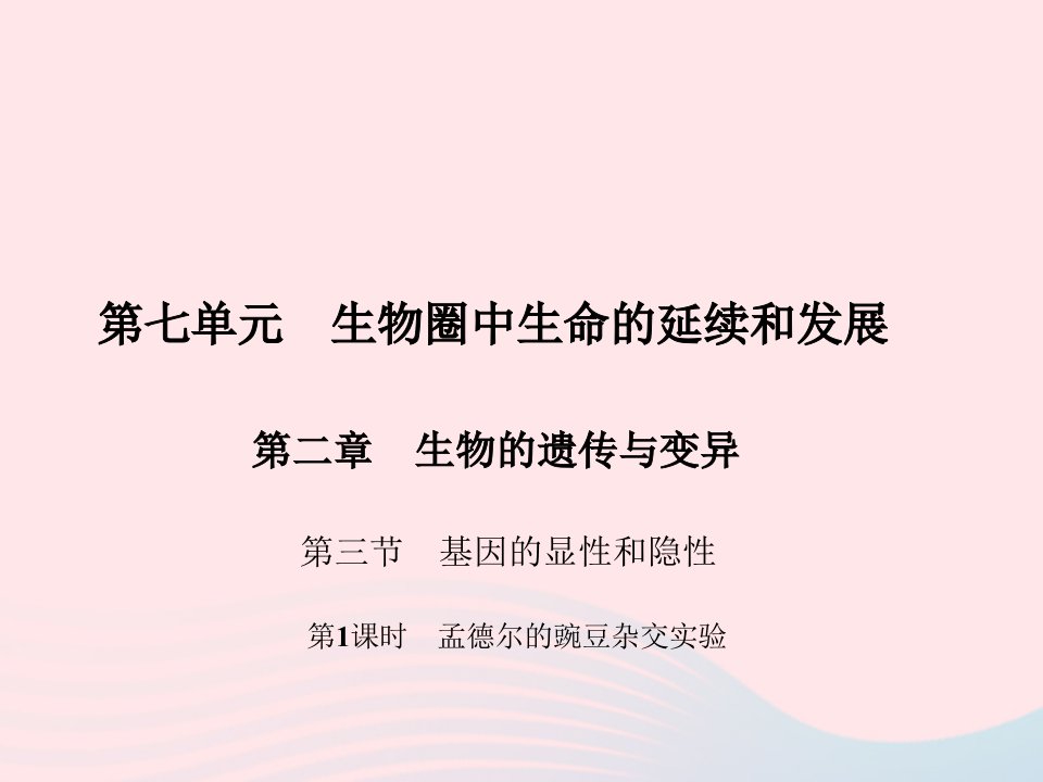 八年级生物下册第七单元生物圈中生命的延续和发展第二章生物的遗传与变异第三节基因的显性和隐性第1课时孟德尔的豌豆杂交实验作业课件新版新人教版