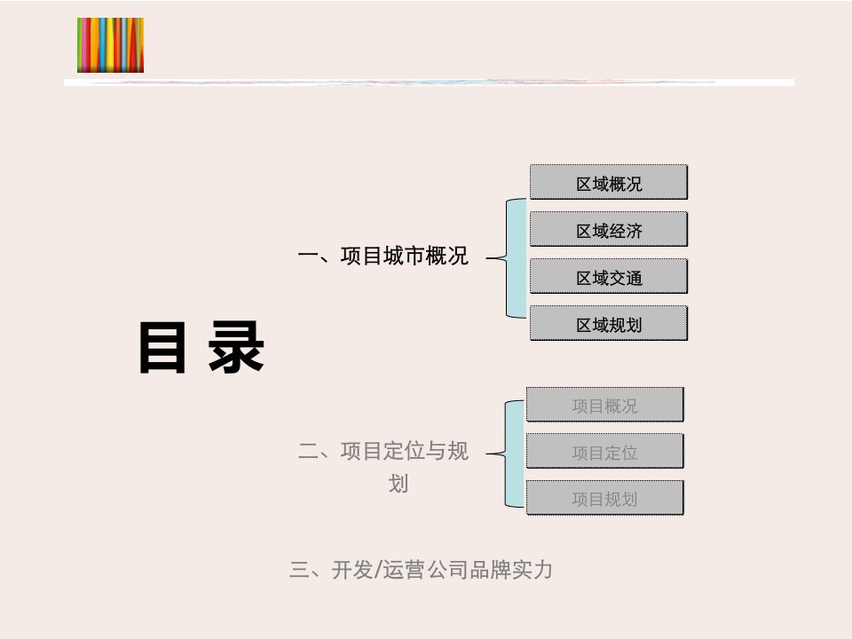 某广场招商策划报告