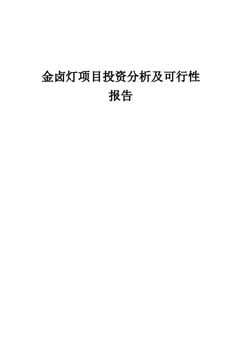 2024年金卤灯项目投资分析及可行性报告