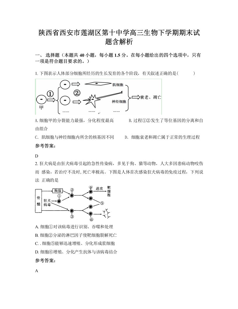 陕西省西安市莲湖区第十中学高三生物下学期期末试题含解析