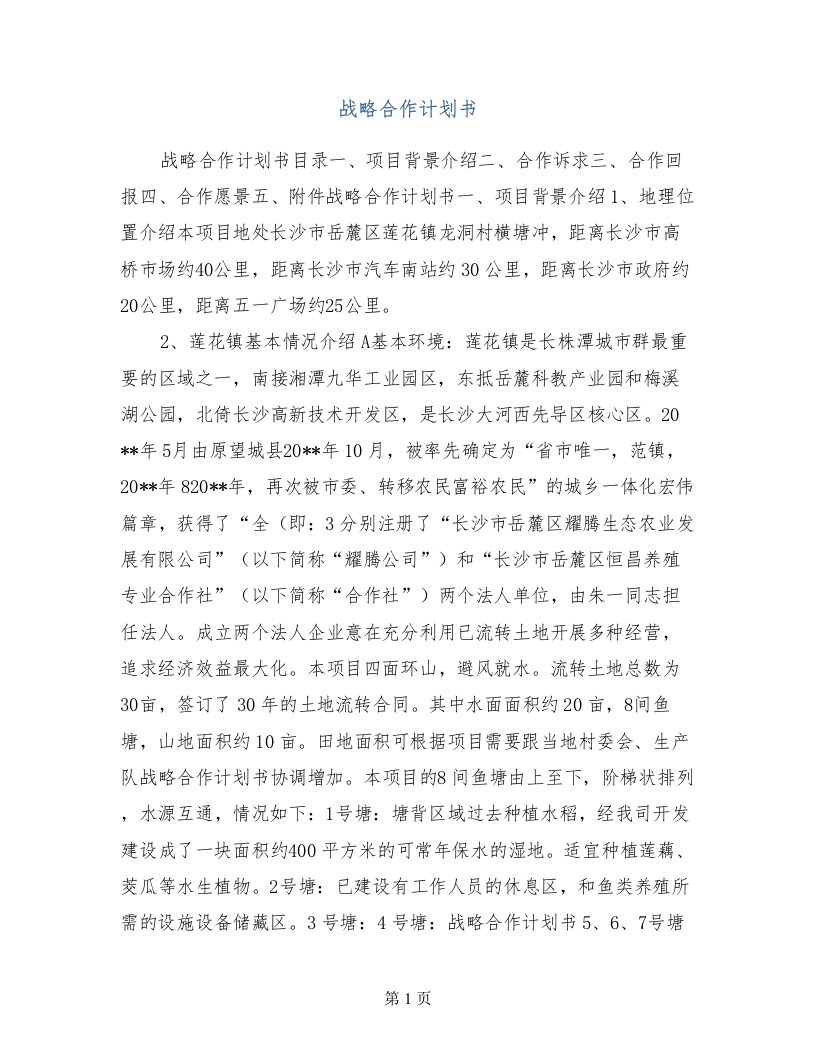 战略合作计划书