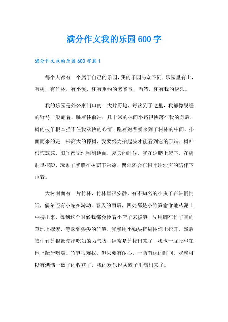 满分作文我的乐园600字