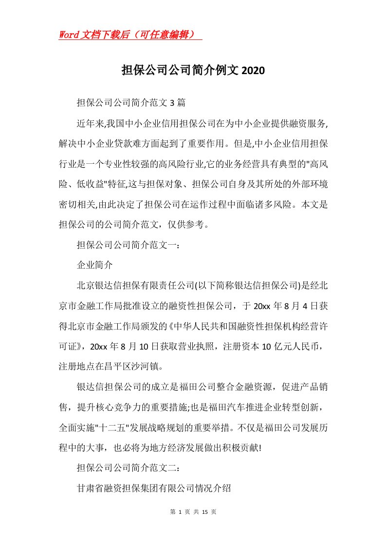 担保公司公司简介例文2020