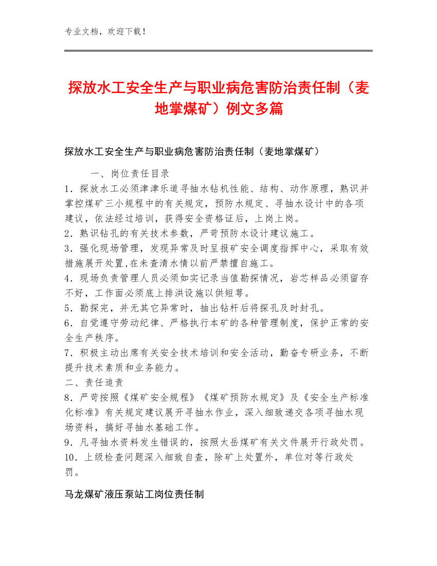 探放水工安全生产与职业病危害防治责任制（麦地掌煤矿）例文多篇