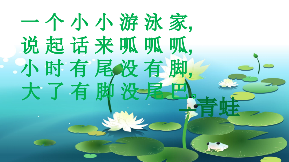 【PPT】《小青蛙》教学课件