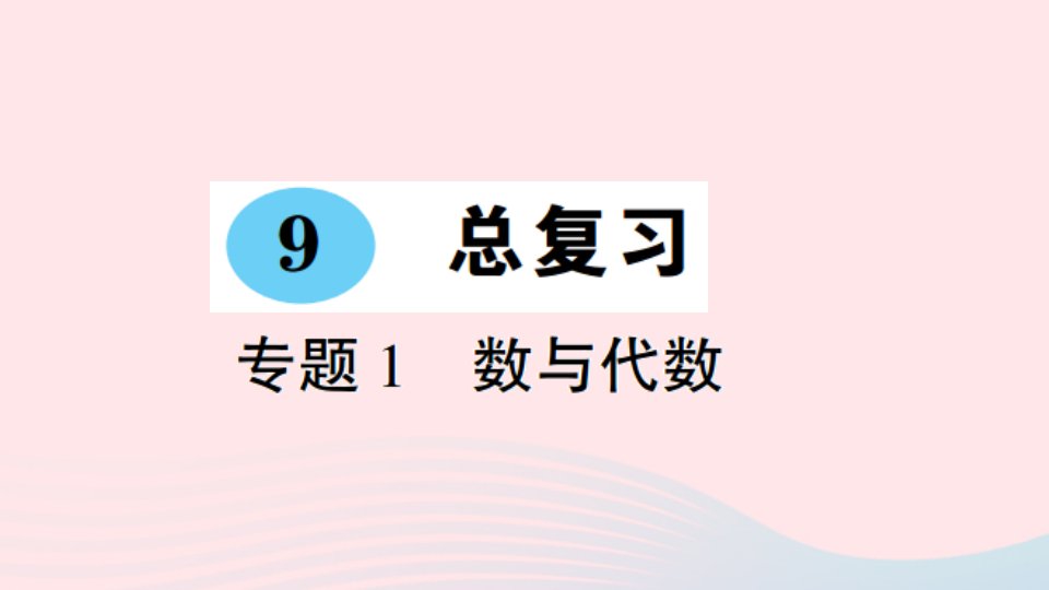 一年级数学上册9总复习专题1数与代数作业课件新人教版